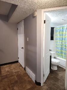 Beautiful New Renovated Townhouse In Highland Green - Photo 15