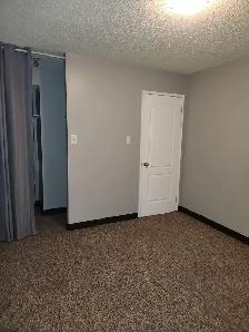 Beautiful New Renovated Townhouse In Highland Green - Photo 18