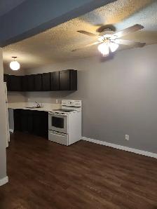 Beautiful New Renovated Townhouse In Highland Green - Photo 19