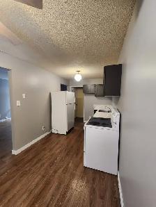 Beautiful New Renovated Townhouse In Highland Green - Photo 21