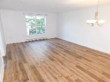 Beautiful renovated 2bed/2bath South-end Condo - VIDEO TOUR! - Photo 7