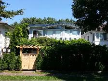 Fully Furnished &  Included 1 Bedroom near Fraser St. & 41st Ave