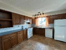 Renod 3BR MnFlr w/new hardwood/own fencd backyrd/nwr wndws/PetOK