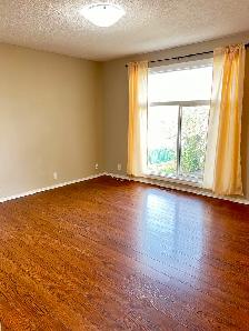 Renod 3BR MnFlr w/new hardwood/own fencd backyrd/nwr wndws/PetOK - Photo 3