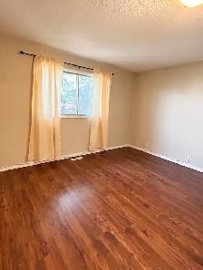 Renod 3BR MnFlr w/new hardwood/own fencd backyrd/nwr wndws/PetOK - Photo 5