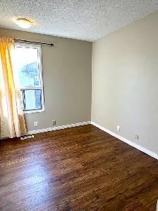 Renod 3BR MnFlr w/new hardwood/own fencd backyrd/nwr wndws/PetOK - Photo 6