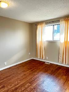 Renod 3BR MnFlr w/new hardwood/own fencd backyrd/nwr wndws/PetOK - Photo 7