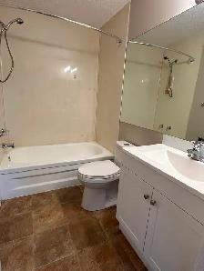 Renod 3BR MnFlr w/new hardwood/own fencd backyrd/nwr wndws/PetOK - Photo 8