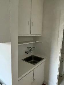 URGENT!! Beau et tranquille 1 1/2 sur le Plateau Mont-Royal!! - Photo 5
