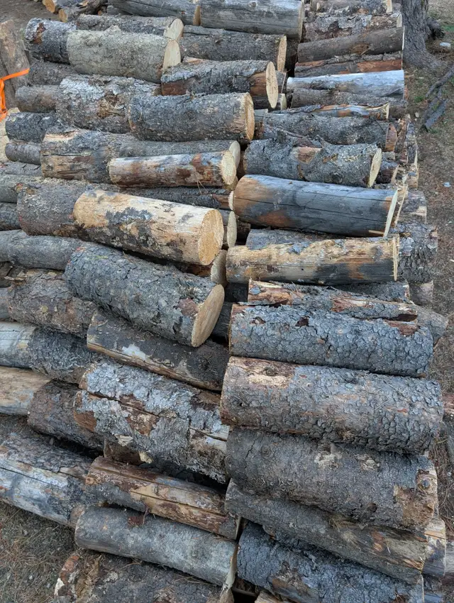 Firewood – 16' Cut & Delivered ($450 / Cord)