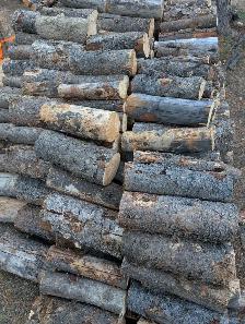 Firewood – 16' Cut & Delivered ($450 / Cord)