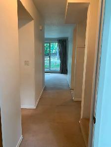 Prime Location in Marda Loop – Bright 2-Bedroom Lower Suite - Photo 2