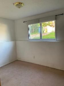 Prime Location in Marda Loop – Bright 2-Bedroom Lower Suite - Photo 3