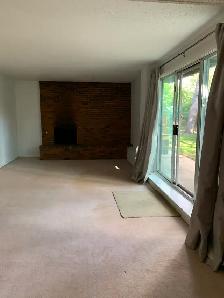 Prime Location in Marda Loop – Bright 2-Bedroom Lower Suite - Photo 4