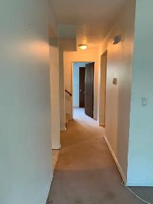 Prime Location in Marda Loop – Bright 2-Bedroom Lower Suite - Photo 5