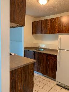 Prime Location in Marda Loop – Bright 2-Bedroom Lower Suite - Photo 6