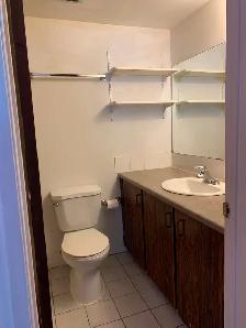 Prime Location in Marda Loop – Bright 2-Bedroom Lower Suite - Photo 7