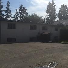 Prime Location in Marda Loop – Bright 2-Bedroom Lower Suite - Photo 8