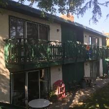 Prime Location in Marda Loop – Bright 2-Bedroom Lower Suite - Photo 9