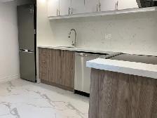 Renovated Large 1-Bed, 1 Bath Basement Apartment - Moss Park - Photo 4