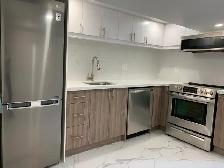 Renovated Large 1-Bed, 1 Bath Basement Apartment - Moss Park - Photo 5