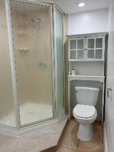 Renovated Large 1-Bed, 1 Bath Basement Apartment - Moss Park - Photo 7