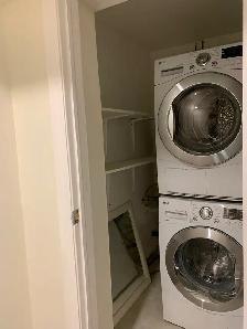 Renovated Large 1-Bed, 1 Bath Basement Apartment - Moss Park - Photo 8