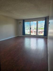 SPACIOUS – RENOVATED – PET FRIENDLY - Photo 3