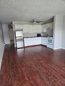 SPACIOUS – RENOVATED – PET FRIENDLY - Photo 4