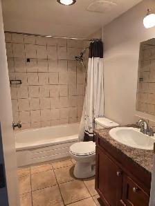 SPACIOUS – RENOVATED – PET FRIENDLY - Photo 7