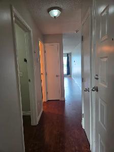 SPACIOUS – RENOVATED – PET FRIENDLY - Photo 11