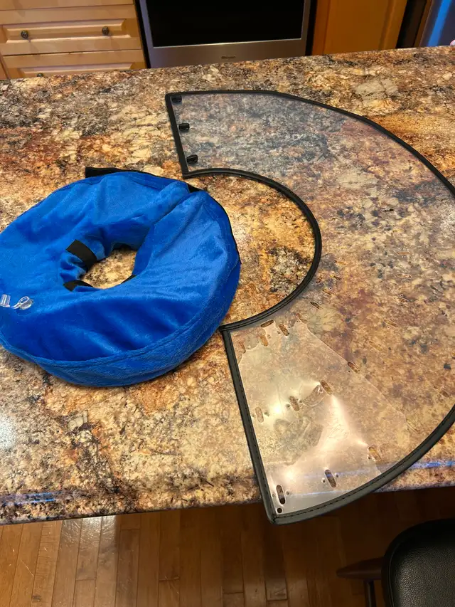 Two Dog Cones For Sale