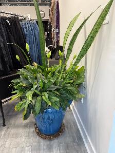 free planter
