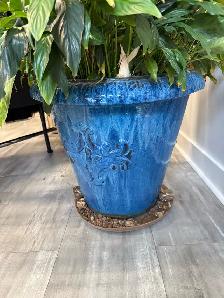 free planter - Photo 2