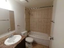 SPACIOUS – RENOVATED – PET FRIENDLY - Photo 6