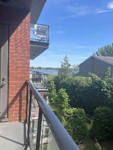 Condo 4 1/2 à louer - disponible maintenant - Photo 3