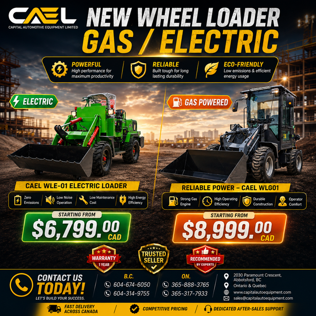 New CAEL Mini Wheel Loader certified & Warranty