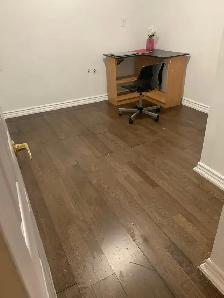 2 Bedroom basement in Square One Mississauga - Photo 3