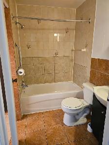 Grand 5 1/2 renové à louer / Large renovated 3-bedroom apartment - Photo 9
