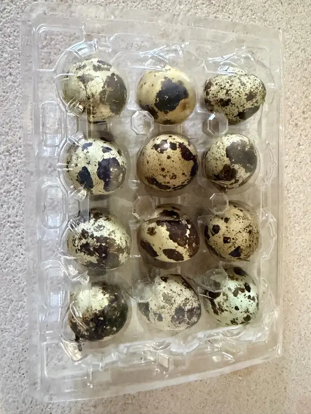 duck/ quail eggs