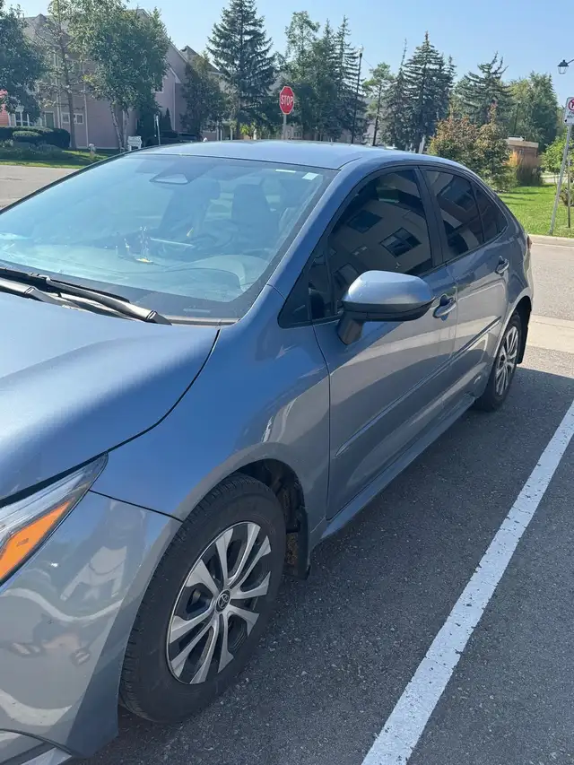 Toyota corolla car
