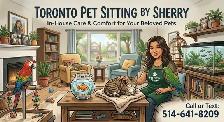 Animal & pet sitter