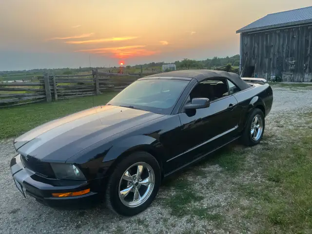 06 ford mustang
