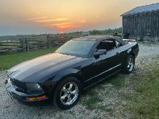 06 ford mustang