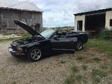 06 ford mustang - Photo 3