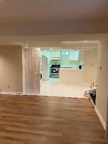 Spacious Walkout Basement at Aurora. ONT (St. Andrews) - Photo 6