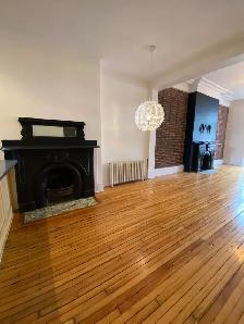 196-1 Princess St UPTOWN  3 Bedroom Heat & HW included - Photo 8