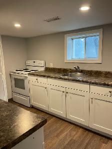 One Bedroom  Lower Level Apartment  $1250 Inclusive - Photo 10