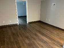 One Bedroom  Lower Level Apartment  $1250 Inclusive - Photo 11