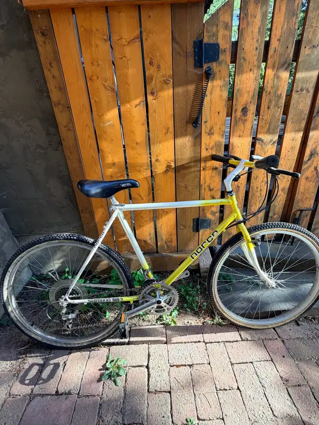 FREE Adult Bike